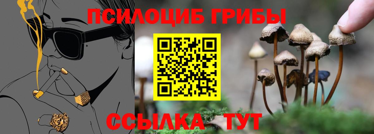 Псилоцибиновые грибы ЛСД  Вход с VPN  Псилоцибиновые грибы мицелий  Мыски 
